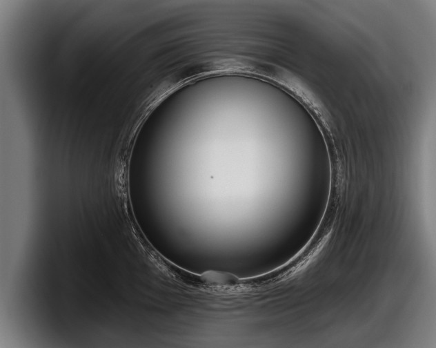 X0000097811001200803201414