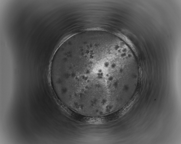 X0000097811002200803201414