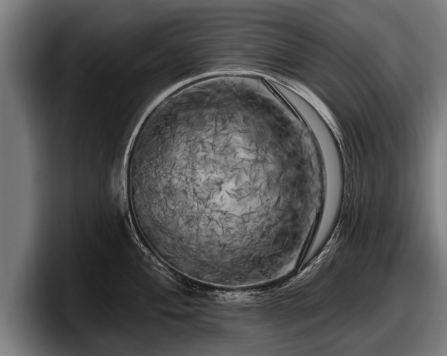 X0000097811004200803201414
