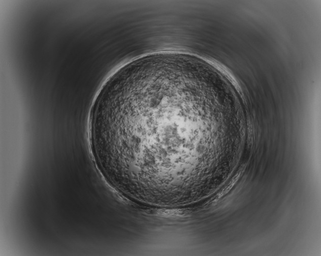 X0000097811006200803201414