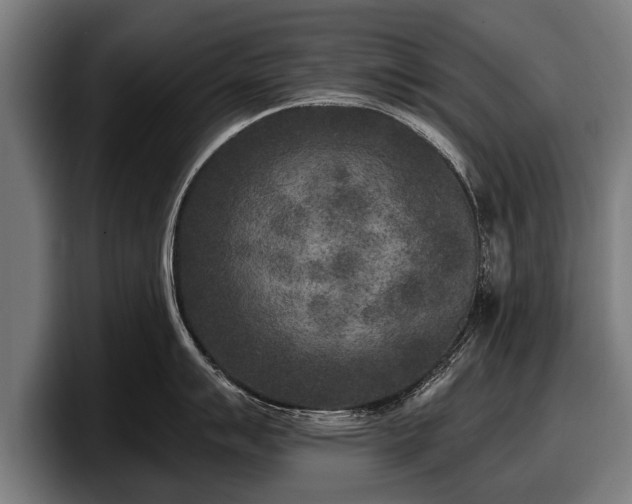 X0000097811007200803201414