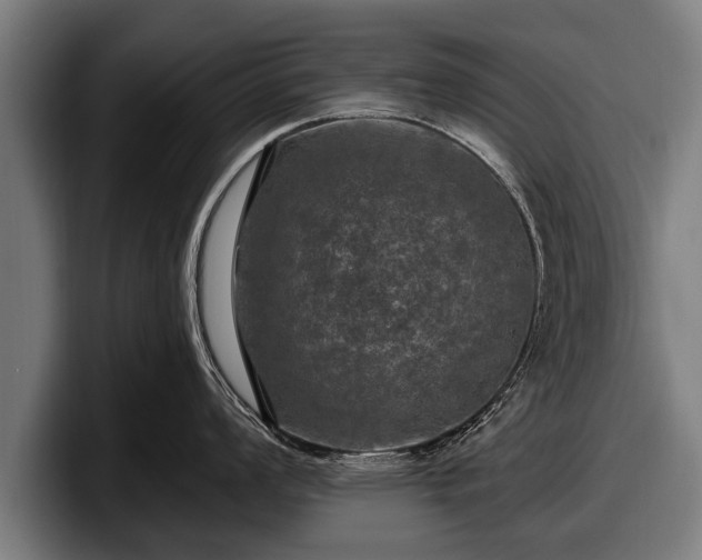 X0000097811008200803201414