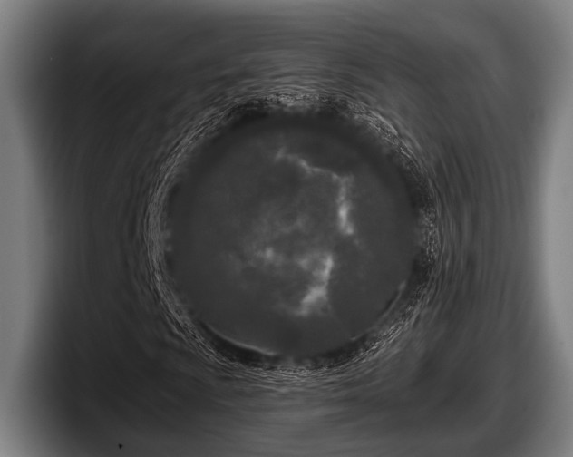 X0000097811009200803201413