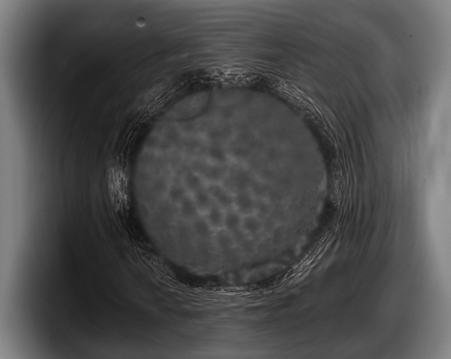 X0000097811010200803201413