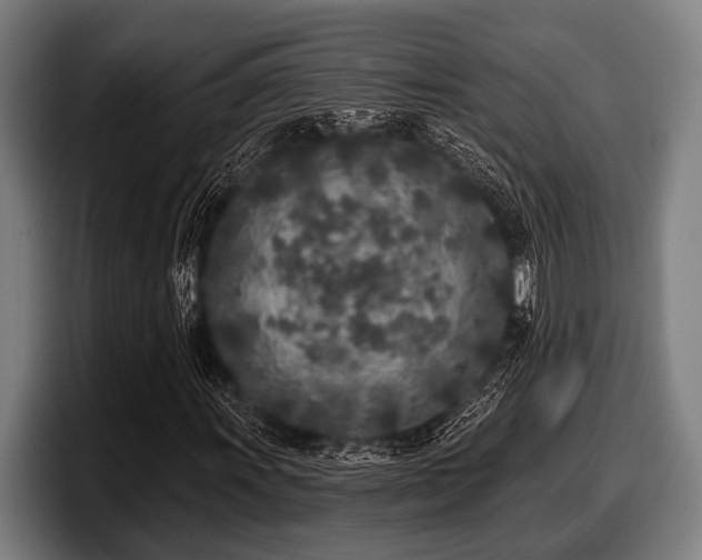 X0000097811011200803201413