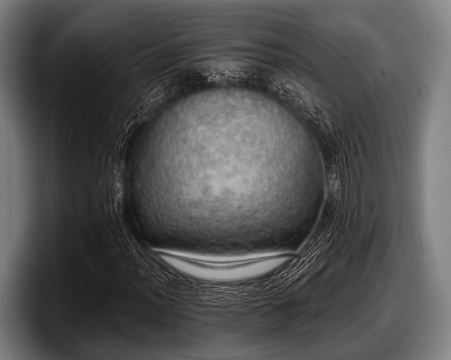 X0000097811012200803201413