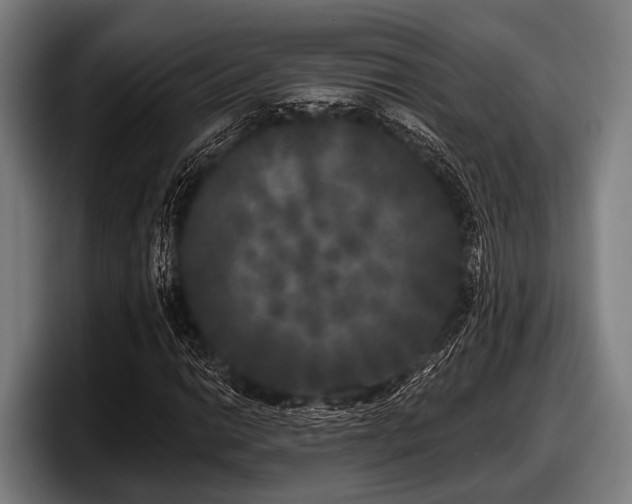 X0000097811014200803201413