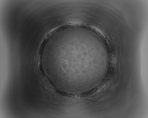 X0000097811016200803201413