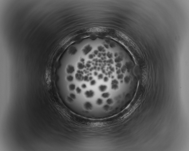 X0000097811017200803201413