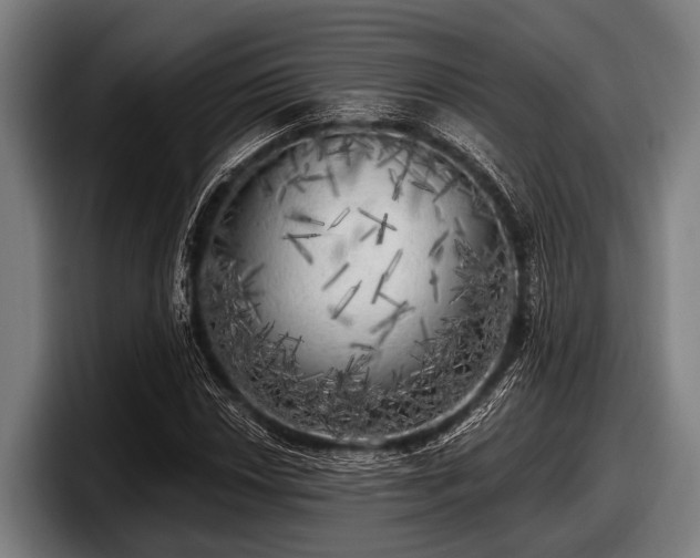 X0000097811018200803201413