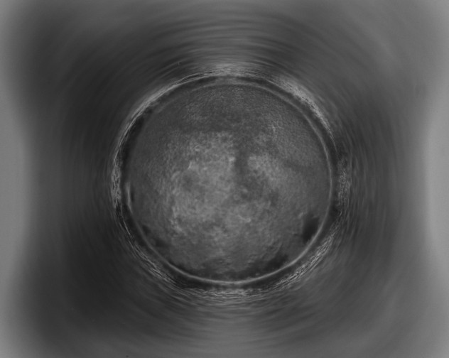 X0000097811019200803201413