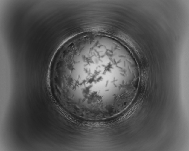 X0000097811020200803201413