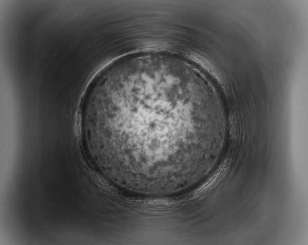 X0000097811021200803201413