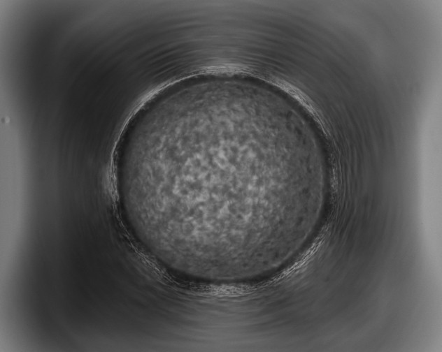 X0000097811022200803201413