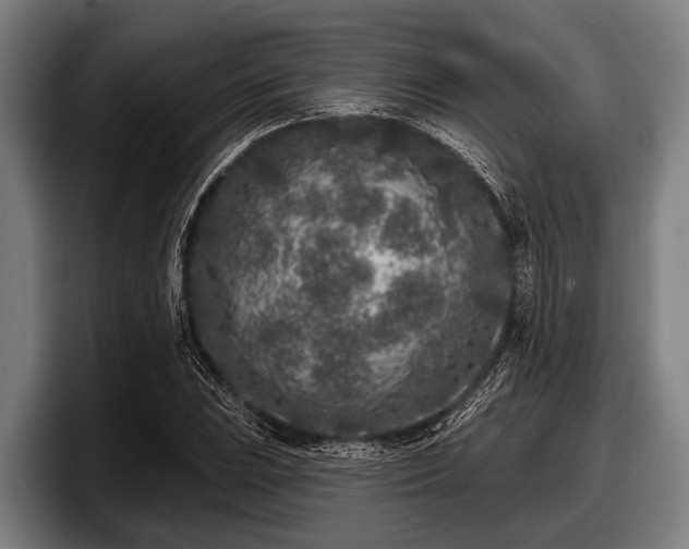 X0000097811023200803201413