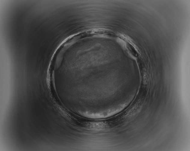 X0000097811024200803201413