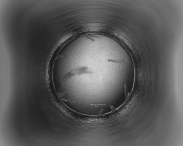 X0000097811026200803201413