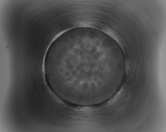 X0000097811028200803201413