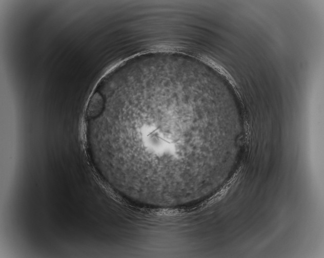 X0000097811029200803201413