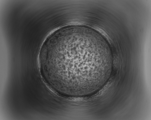 X0000097811030200803201413