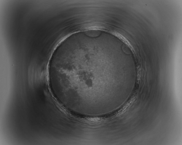 X0000097811031200803201413