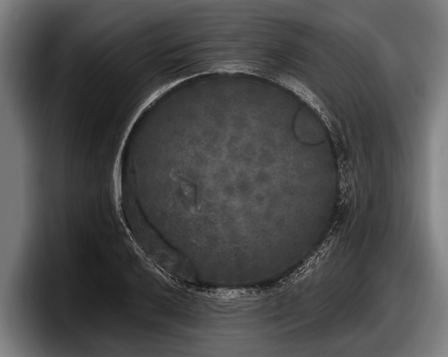 X0000097811032200803201413