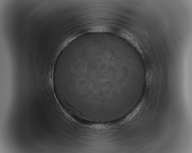 X0000097811033200803201413