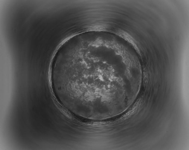 X0000097811035200803201413