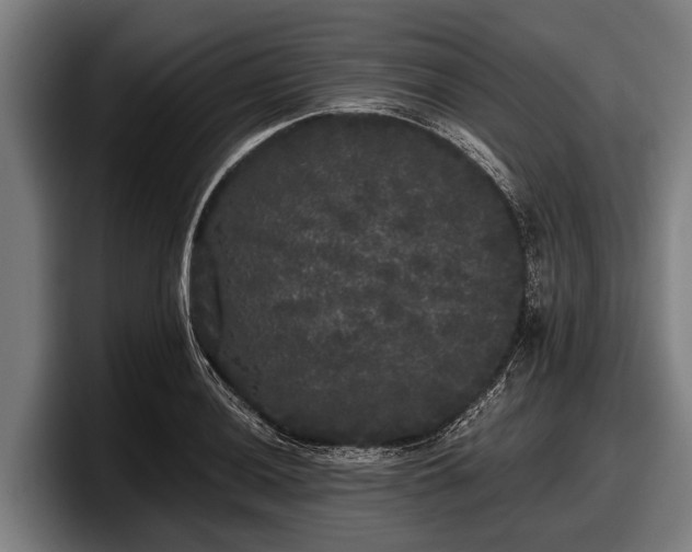 X0000097811036200803201413