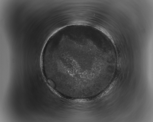 X0000097811037200803201413