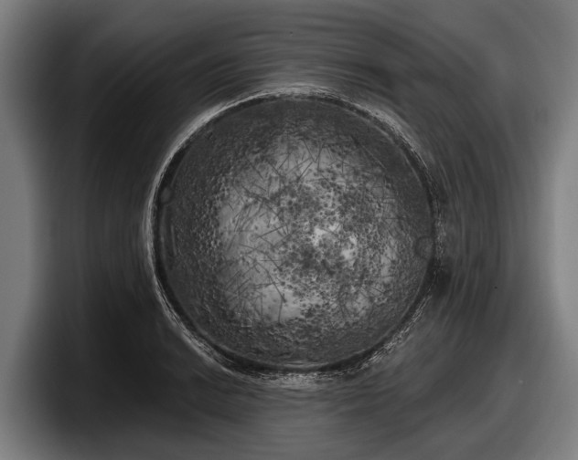 X0000097811038200803201413