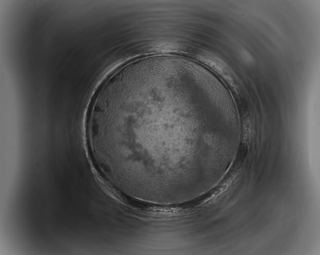 X0000097811039200803201413