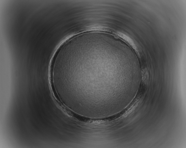 X0000097811043200803201413