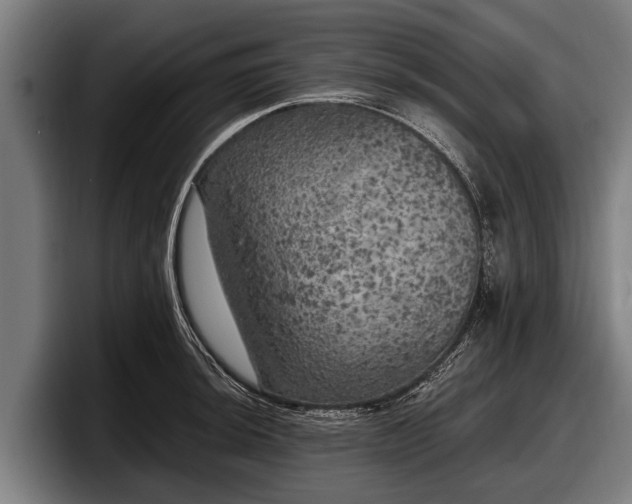 X0000097811044200803201413