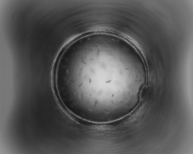 X0000097811045200803201413
