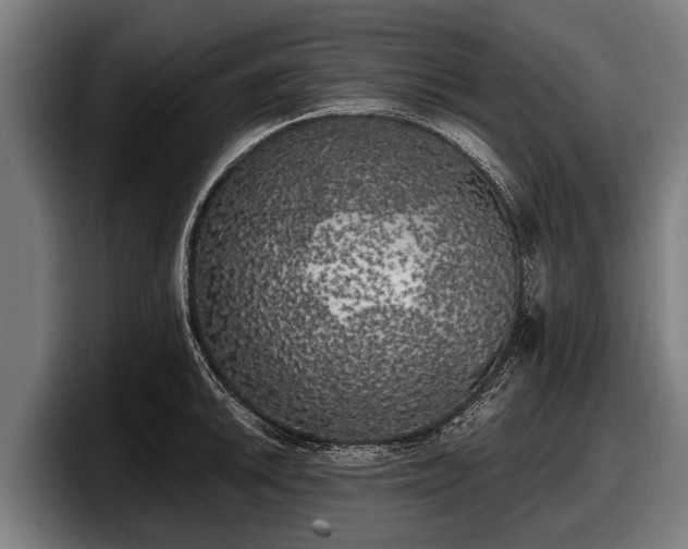 X0000097811046200803201413