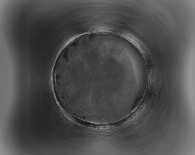 X0000097811047200803201413