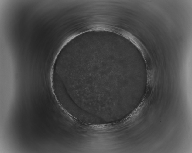 X0000097811048200803201413