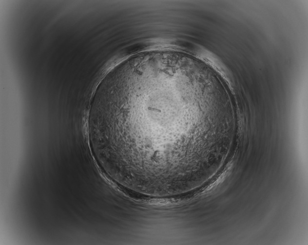 X0000097811049200803201413