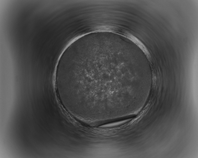 X0000097811052200803201413