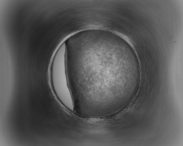 X0000097811056200803201414