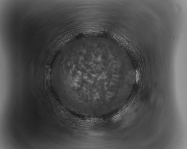 X0000097811059200803201413