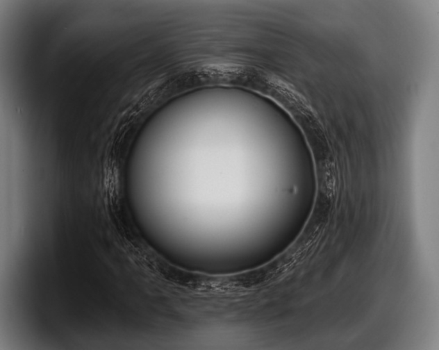 X0000097811061200803201413