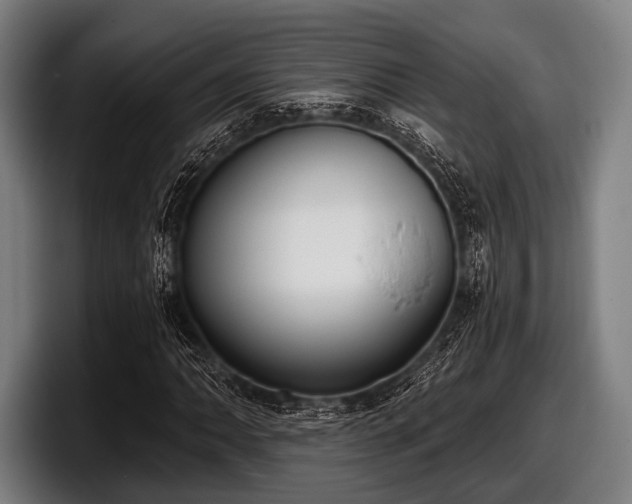 X0000097811062200803201413