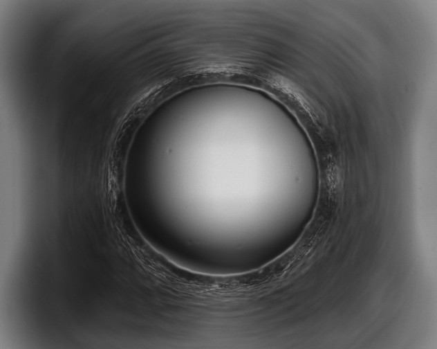 X0000097811064200803201413