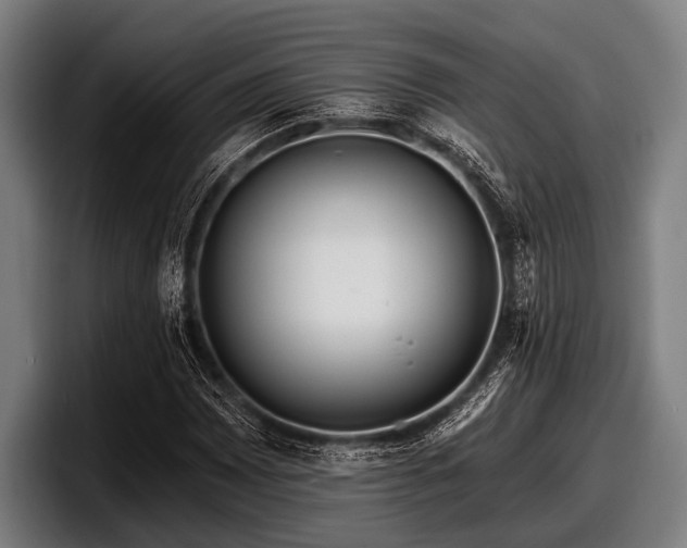 X0000097811065200803201413