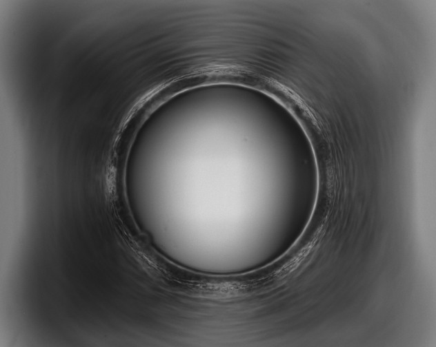 X0000097811066200803201413