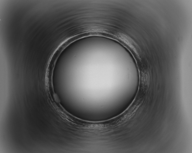 X0000097811068200803201413