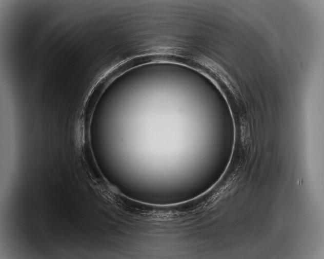 X0000097811069200803201413