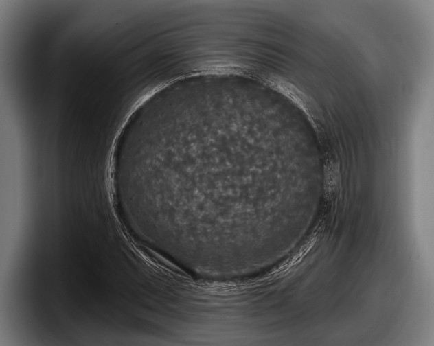 X0000097811071200803201413